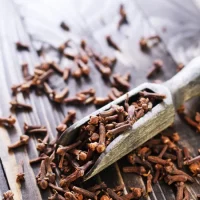 Cloves