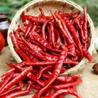 Kashmiri Red Chilly