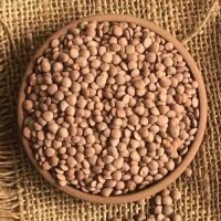 Masoor Dal Whole Masoor Dal Whole