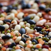 Mix Dal Mix Dal