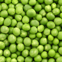 green pea green pea